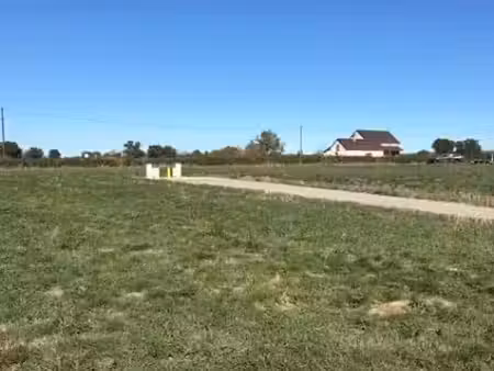 vente terrain 1004 m² à palinges (71430)  25 300 €