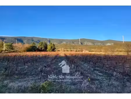 vente terrain 38451 m² à caudiès-de-fenouillèdes (66220)  28 500 €