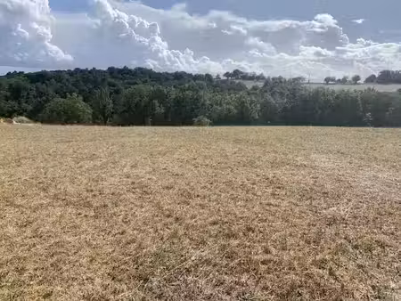vente terrain 1300 m² à coursac (24430)  38 000 €