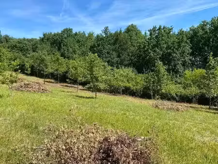vente terrain 1000 m² à monclar-de-quercy (82230)  35 000 €