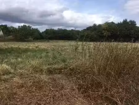 vente terrain 1105 m² à saint-eloy-de-gy (18110)  35 000 €