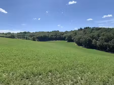 vente terrain 1163 m² à marsaneix (24750)  38 000 €