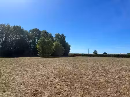 vente terrain 3851 m² à jonzac (17500)  35 000 €