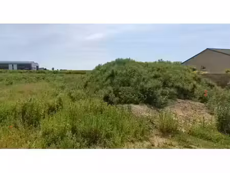 vente terrain 979 m² à saint-aubert (59188)  38 000 €