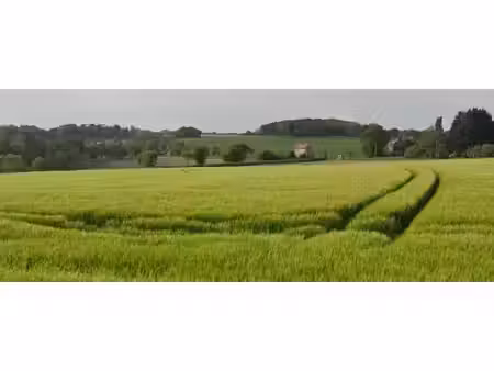 vente terrain 220 m² à pleudihen-sur-rance (22690)  44 000 €
