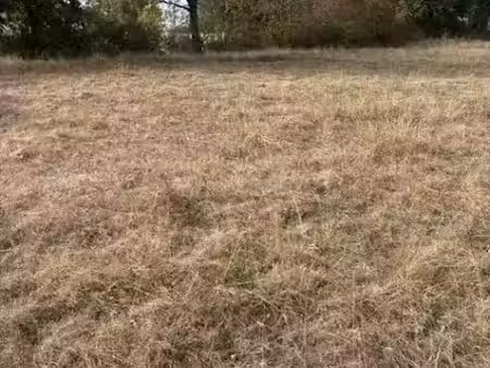vente terrain 1257 m² à paray-le-monial (71600)  43 995 €