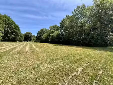 vente terrain 1860 m² à sainte-marie-de-chignac (24330)  45 000 €