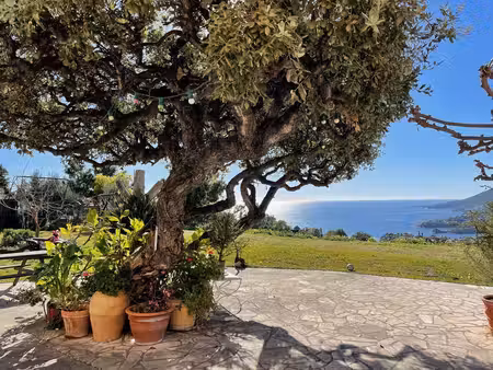 villa de 12 pièces de luxe en vente théoule-sur-mer  france