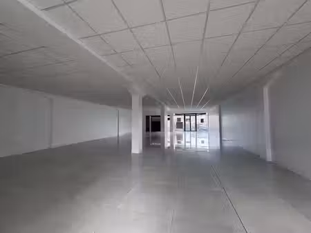 location locaux professionnels 1 pièce 200 m² à baie mahault (97122)  4 070 €