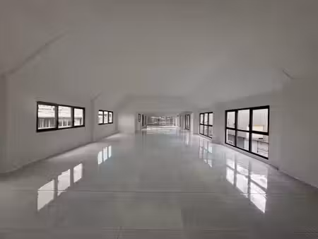 location locaux professionnels 1 pièce 286 m² à baie mahault (97122)  6 864 €