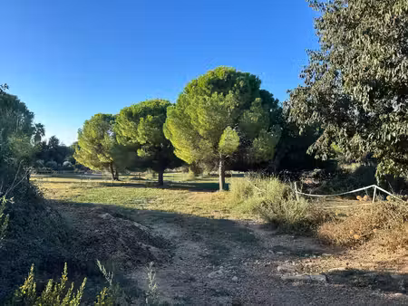 vente terrain 817 m² aigues-vives (30670)