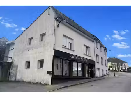 vente locaux professionnels 150 m² à locminé (56500)  265 000 €