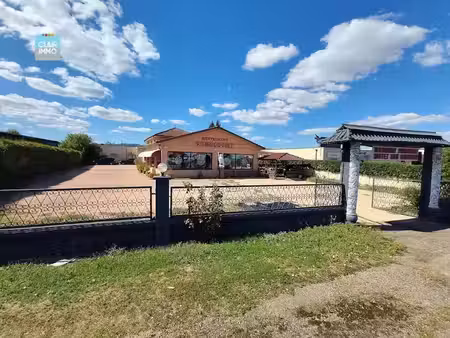 vente locaux professionnels 7 pièces 380 m² à crêches-sur-saône (71680)  198 000 €
