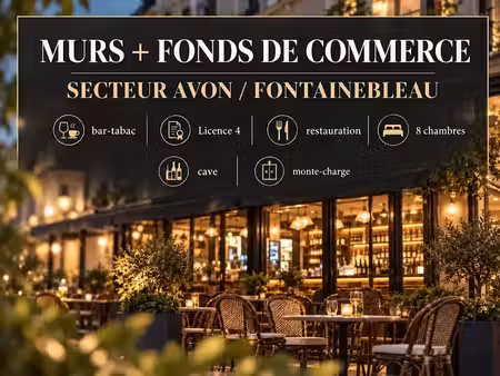 vente locaux professionnels 10 pièces 273.96 m² à fontainebleau (77300)  1 100 000 €