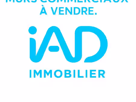 vente commerce 109 m² saint-étienne (42100)