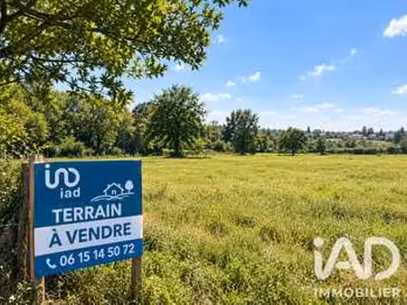 vente terrain à massignac (16310) : à vendre / 21000m² massignac