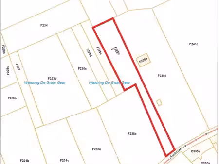 lot 4: parcelle de pâturage bien située