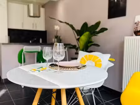 gemeubeld appart.  1 slaapkamer  terras  privétuin - bergen