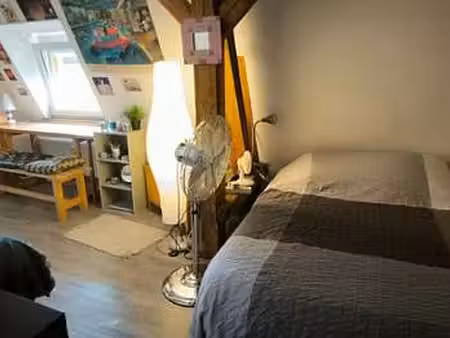 location appartement t1 meublé à strasbourg (67000) : à louer t1 meublé / 18m² strasbourg
