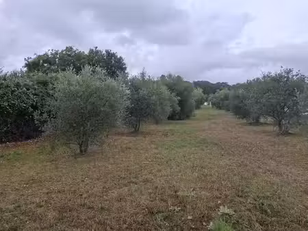 vente terrain 500 m² à la motte-d'aigues (84240)  145 000 €