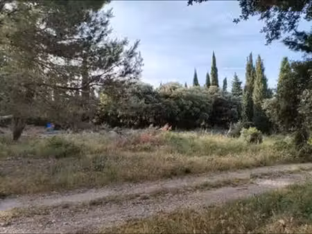 terrain agricole