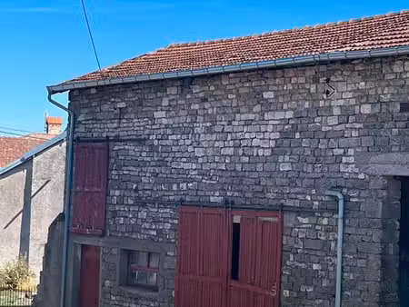 idéal petit budget ou investisseur grange de village à 8500