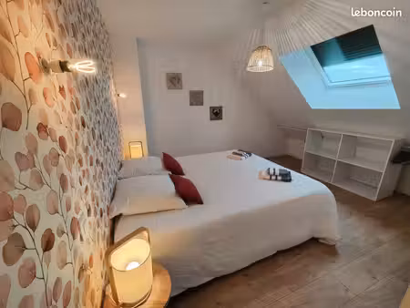joli t3 cosy mansardé