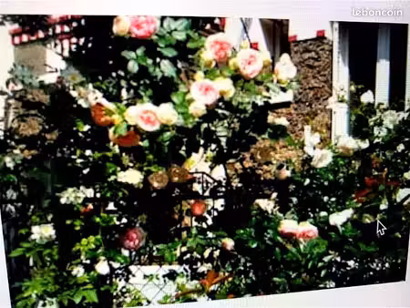maison télégraphe jardinet