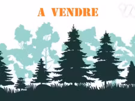 terrain à vendre
