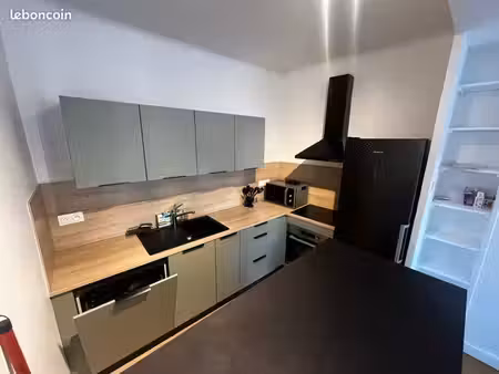 appartement t3 centre ville 80m2