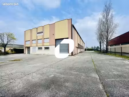 local d'activité 1 350 m²