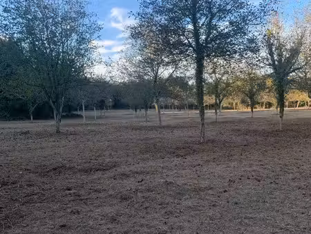 terrain agricole noyerai