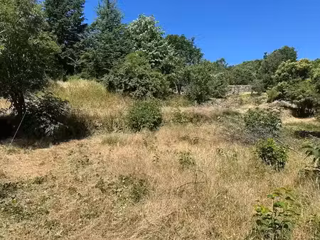 vente terrain 2288 m² à sablières (07260)  61 000 €