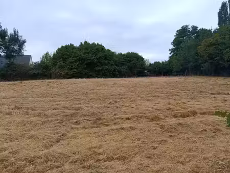 terrain constructible neuf à vendre