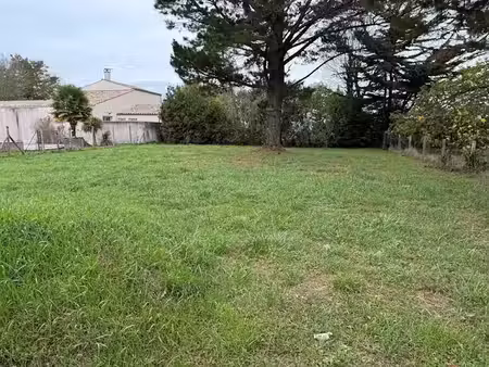vente terrain 784 m² à saint-georges-d'oléron (17190)  153 000 €