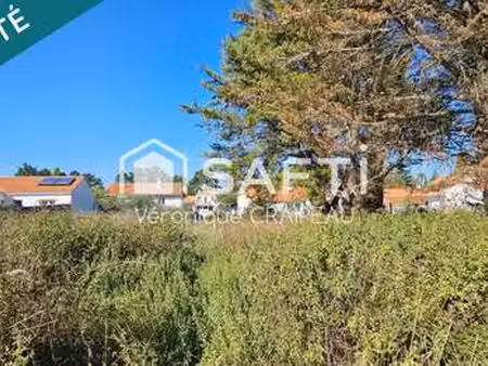 vente terrain à la chaize-giraud (85220) : à vendre / 704m² la chaize-giraud