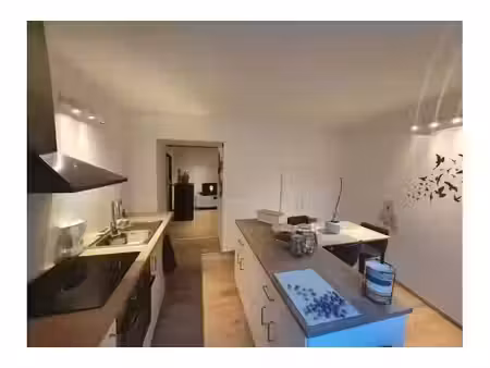 location appartement 2 pièces 65 m² à lyon 3ème (69003)  838 €