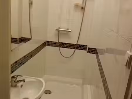 location meublée appartement 1 pièce 18 m² à lyon 3ème (69003)  475 €