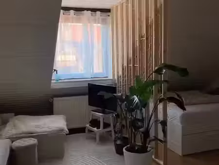 location appartement 1 pièce 20 m² à lyon 7ème (69007)  506 €