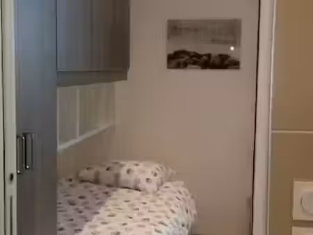 location meublée appartement 1 pièce 17 m² à lyon 7ème (69007)  596 €
