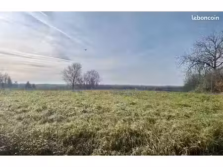 terrain 1 331 m² polliat
