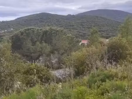 terrain 1200m sainte maxime