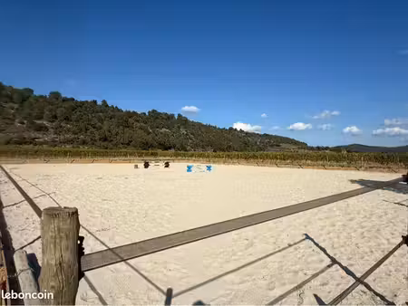 terrain agricole pour chevaux avec carrière et abri