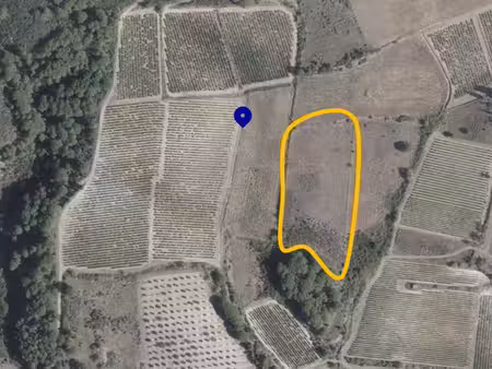 terrain agricole / de loisirs de 7 940 m² – calme  isolé et sans vis-à-vis – villeneuve-mi