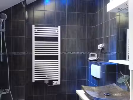 duplex meuble avec jardin