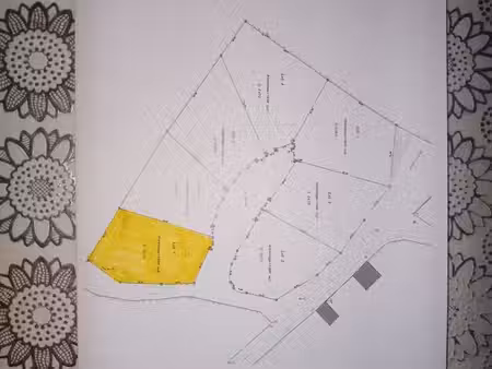 terrain bâtissable 1 388 m² viabilisé – idéal projet familial ou investissement / division