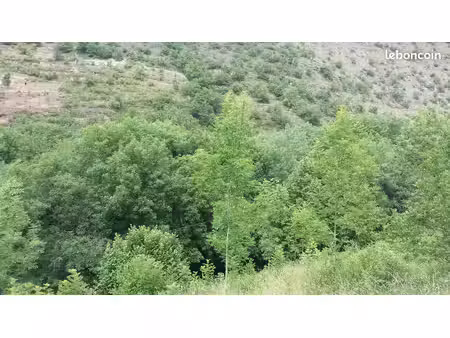 terrain constructible 1650m2 proche millau