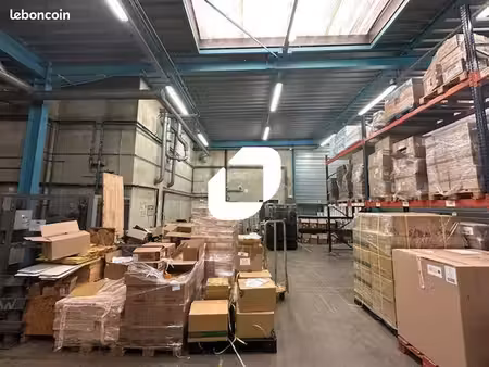 local d'activité 507 m²