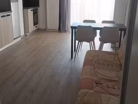 studio meublé 27m2 rénové avec parking