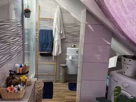 appartement sous comble